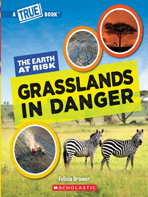 cover image of Grasslands in Danger 